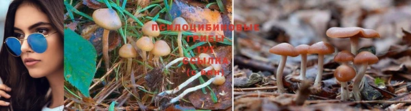 mdpv Алзамай
