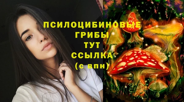 mdpv Алзамай