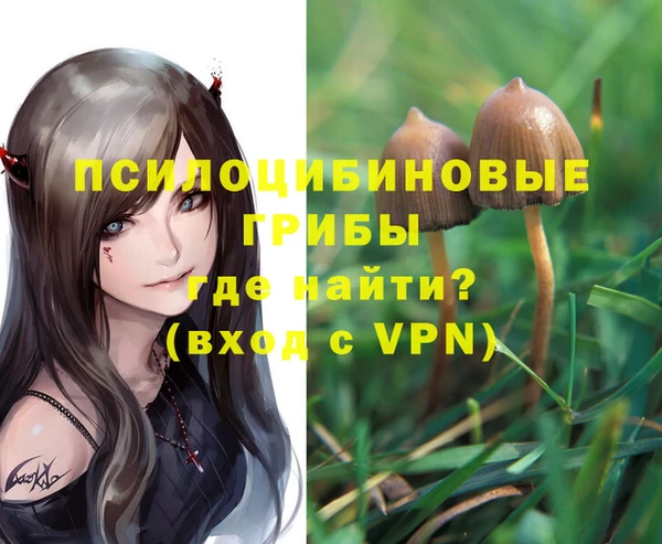 mdpv Алзамай