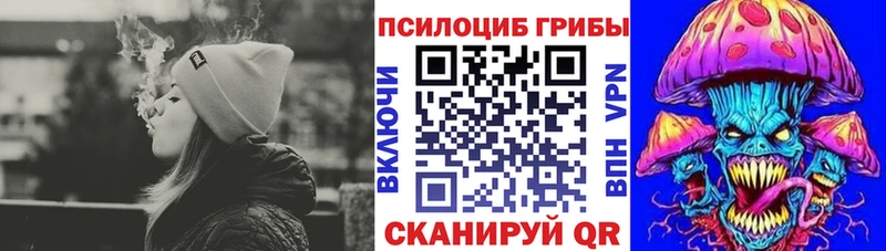 как найти закладки  MEGA как зайти  Псилоцибиновые грибы Cubensis  Тара 