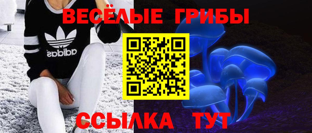 дарнет шоп  Псилоцибиновые грибы прущие грибы  Вход с VPN  Тара  Галлюциногенные грибы мухоморы 
